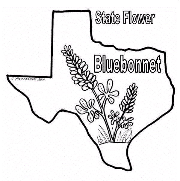 state of texas symbols coloring pages - photo #36