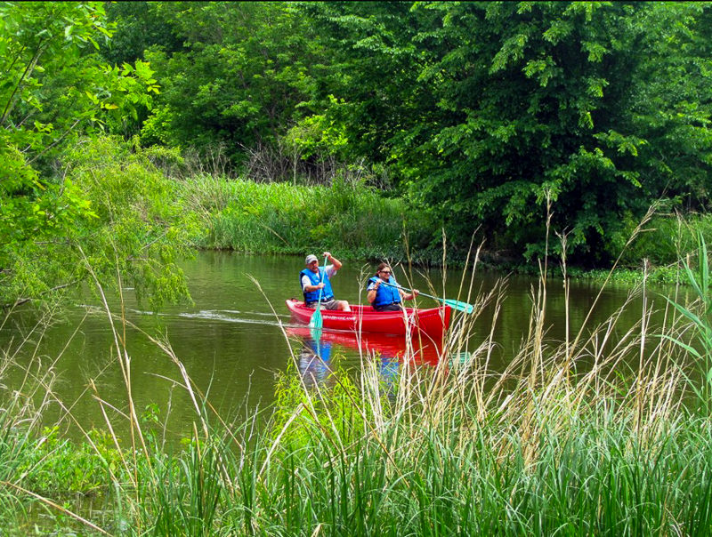 Wetland Canoe Trails