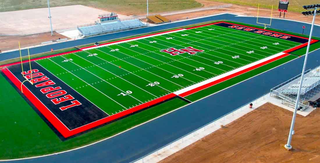 Leopard Field