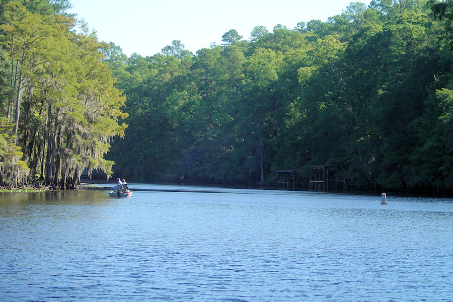 A nice day to fish on Big Cypress Bayou