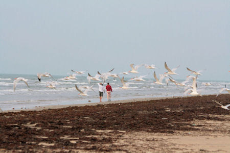 Walking on the beach and watching the birds is still a primary activity