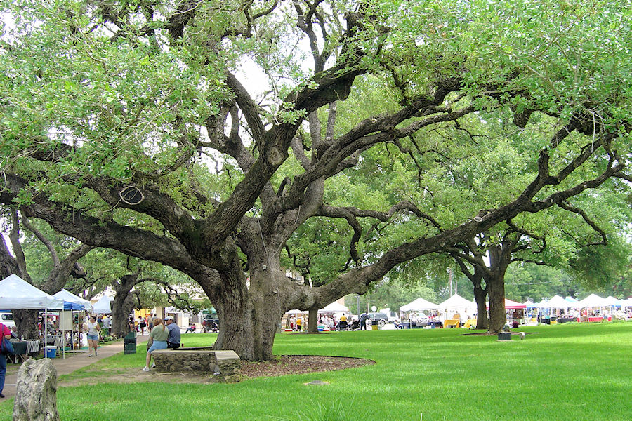 Goliad Market Days - Goliad County Courthouse Square