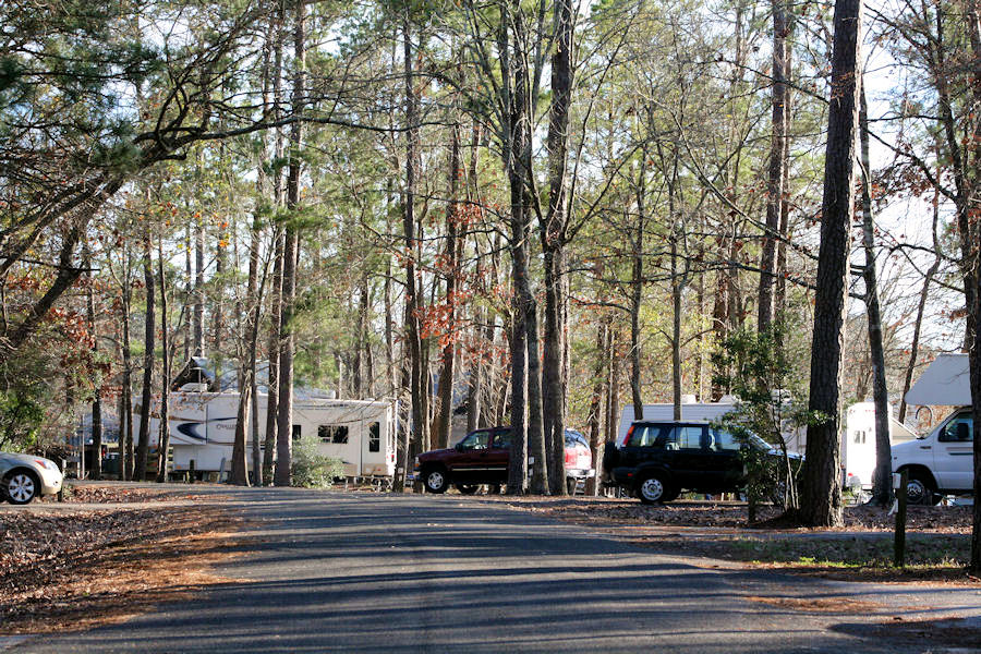 Camp grounds are heavily wooded