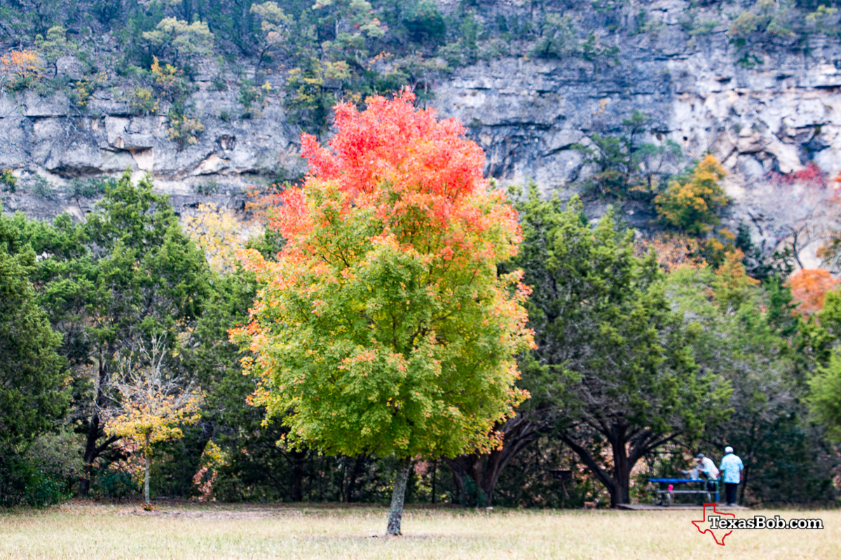 lost-maples-state-park-photos