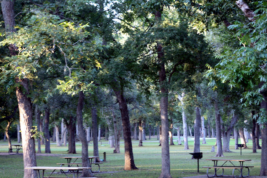 Picnic Area