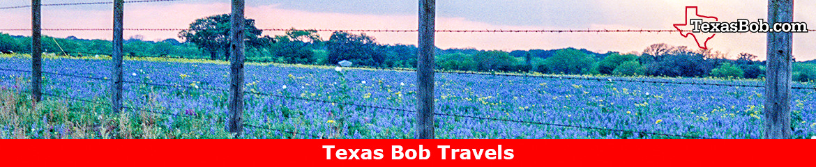 Texas Bluebonnet Festival