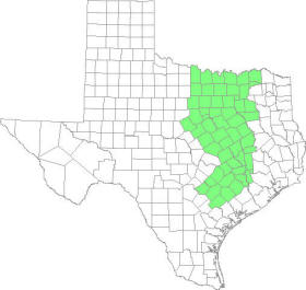 Map of Prairies and Lakes Region of Texas