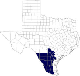 Map of South Texas Plains of Texas