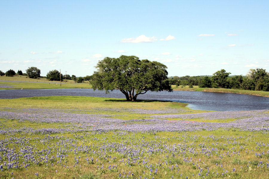 Gay Hill, Texas