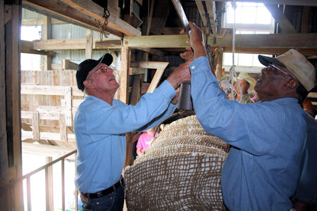 Mr. Gilbert Janner weighing out his bale (545#)