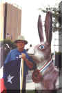 Worlds Largest Jackrabbit
