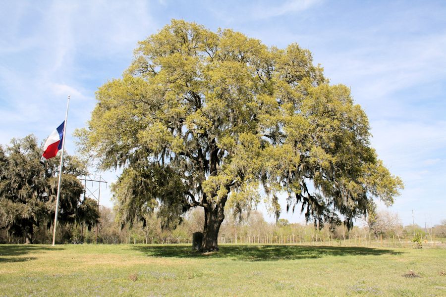 Steve F Austin Historic Site